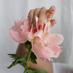 A caucasian female hand against a flower, wearing Paint Red nail polish, a classic bold red shade by Paint Nail Lacquer